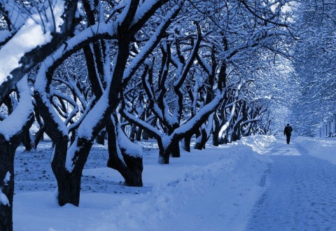 Kliknij na zdjęcie, żeby zobaczyć w pełnych wymiarach