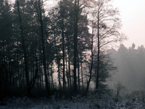 Kliknij na zdjęcie, żeby zobaczyć w pełnych wymiarach