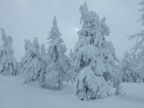 Kliknij na zdjęcie, żeby zobaczyć w pełnych wymiarach
