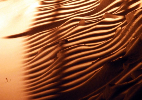 Kliknij na zdjęcie, żeby zobaczyć w pełnych wymiarach