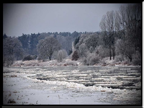 Kliknij na zdjęcie, żeby zobaczyć w pełnych wymiarach