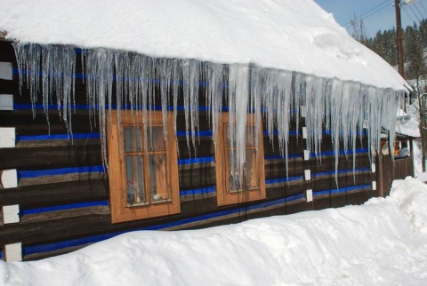 Kliknij na zdjęcie, żeby zobaczyć w pełnych wymiarach