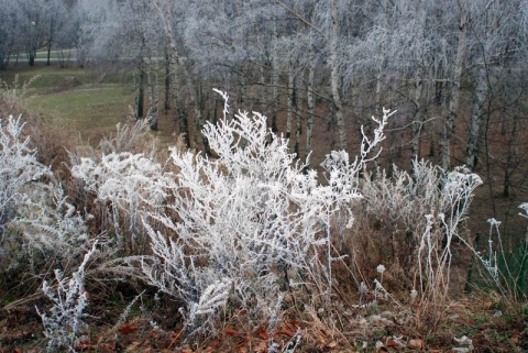 Kliknij na zdjęcie, żeby zobaczyć w pełnych wymiarach