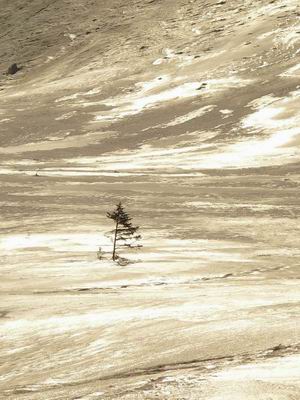 Kliknij na zdjęcie, żeby zobaczyć w pełnych wymiarach