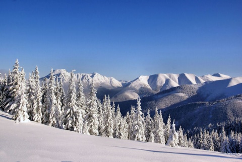 Kliknij na zdjęcie, żeby zobaczyć w pełnych wymiarach