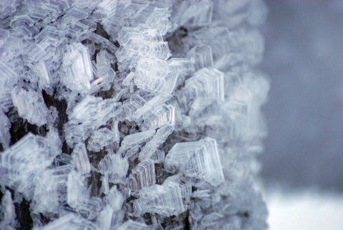 Kliknij na zdjęcie, żeby zobaczyć w pełnych wymiarach