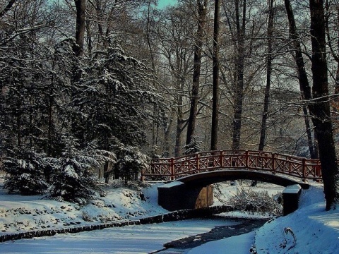 Kliknij na zdjęcie, żeby zobaczyć w pełnych wymiarach