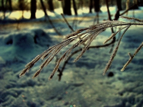 Kliknij na zdjęcie, żeby zobaczyć w pełnych wymiarach