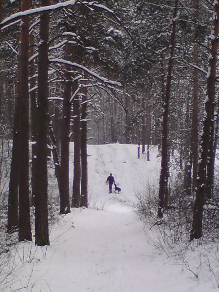 Kliknij na zdjęcie, żeby zobaczyć w pełnych wymiarach