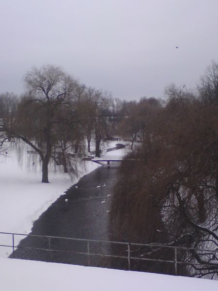 Kliknij na zdjęcie, żeby zobaczyć w pełnych wymiarach