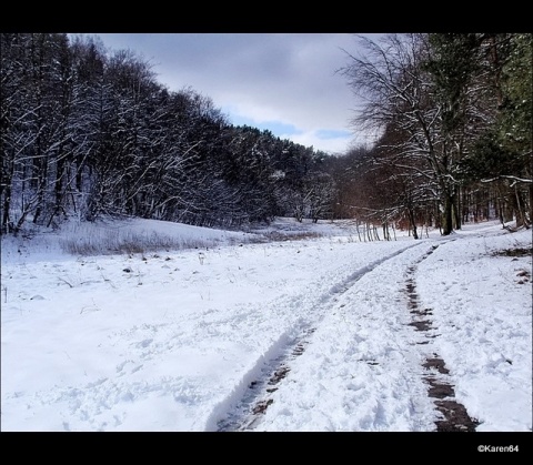 Kliknij na zdjęcie, żeby zobaczyć w pełnych wymiarach