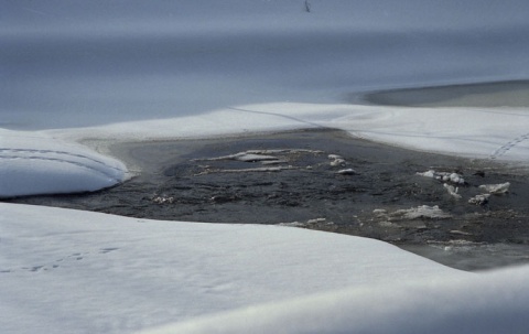 Kliknij na zdjęcie, żeby zobaczyć w pełnych wymiarach