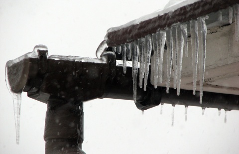 Kliknij na zdjęcie, żeby zobaczyć w pełnych wymiarach