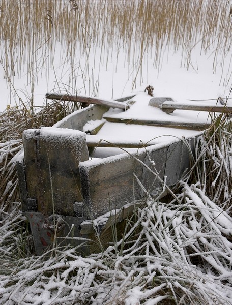 Kliknij na zdjęcie, żeby zobaczyć w pełnych wymiarach