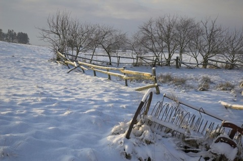 Kliknij na zdjęcie, żeby zobaczyć w pełnych wymiarach