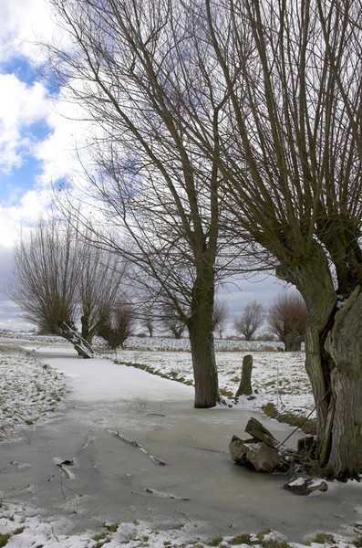 Kliknij na zdjęcie, żeby zobaczyć w pełnych wymiarach