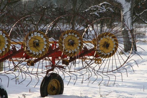 Kliknij na zdjęcie, żeby zobaczyć w pełnych wymiarach