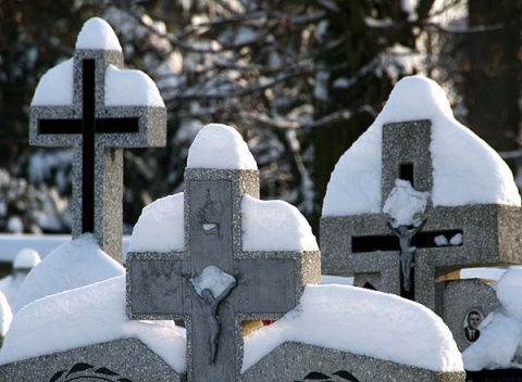 Kliknij na zdjęcie, żeby zobaczyć w pełnych wymiarach