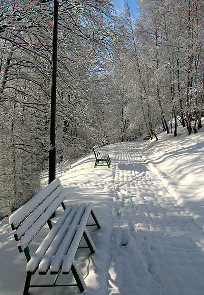 Kliknij na zdjęcie, żeby zobaczyć w pełnych wymiarach