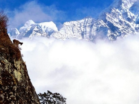 Kliknij na zdjęcie, żeby zobaczyć w pełnych wymiarach