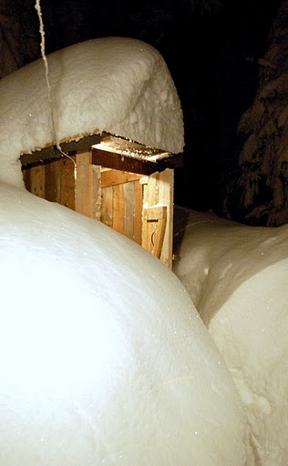 Kliknij na zdjęcie, żeby zobaczyć w pełnych wymiarach