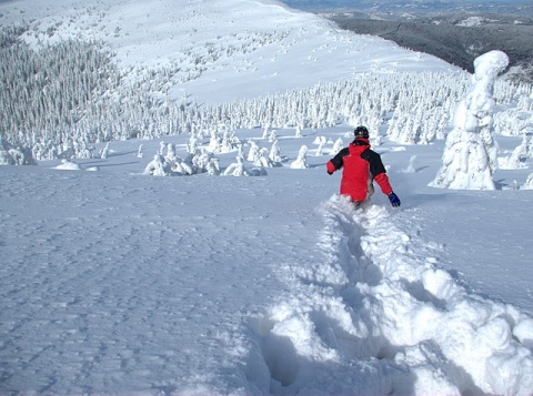Kliknij na zdjęcie, żeby zobaczyć w pełnych wymiarach