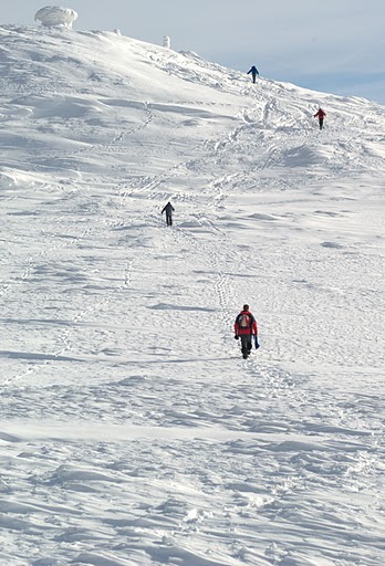 Kliknij na zdjęcie, żeby zobaczyć w pełnych wymiarach