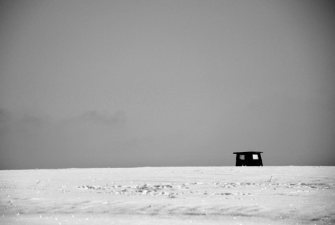 Kliknij na zdjęcie, żeby zobaczyć w pełnych wymiarach