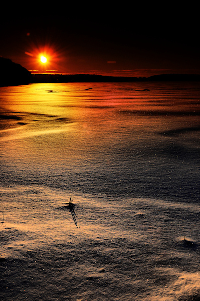 Kliknij na zdjęcie, żeby zobaczyć w pełnych wymiarach