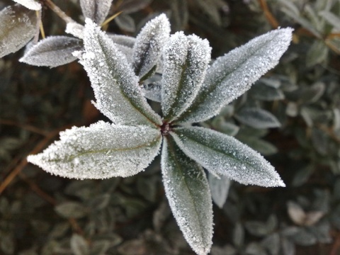 Kliknij na zdjęcie, żeby zobaczyć w pełnych wymiarach