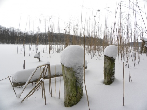 Kliknij na zdjęcie, żeby zobaczyć w pełnych wymiarach