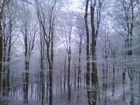 Kliknij na zdjęcie, żeby zobaczyć w pełnych wymiarach