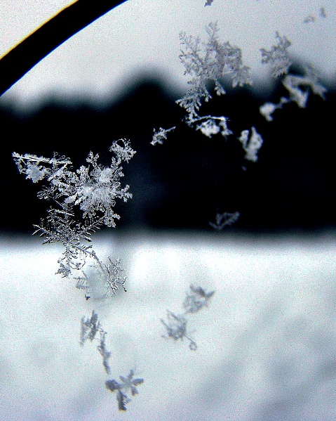 Kliknij na zdjęcie, żeby zobaczyć w pełnych wymiarach