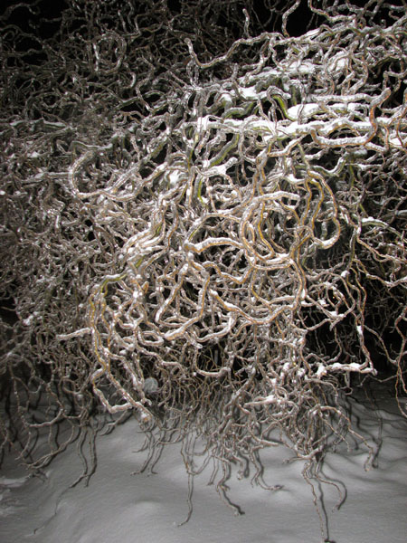 Kliknij na zdjęcie, żeby zobaczyć w pełnych wymiarach