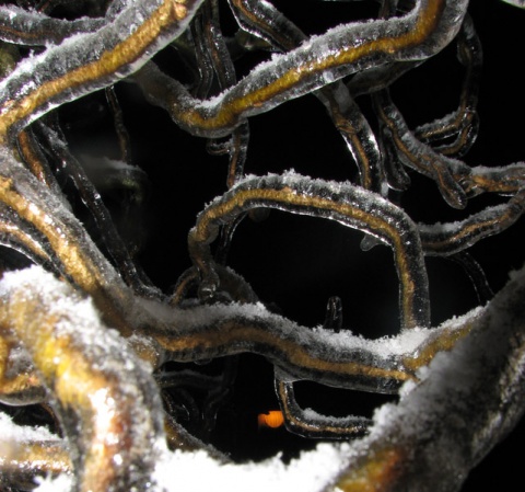 Kliknij na zdjęcie, żeby zobaczyć w pełnych wymiarach