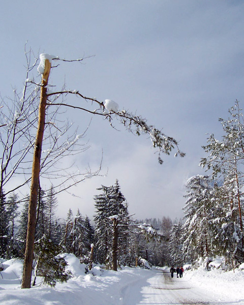 Kliknij na zdjęcie, żeby zobaczyć w pełnych wymiarach