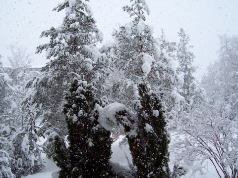 Kliknij na zdjęcie, żeby zobaczyć w pełnych wymiarach