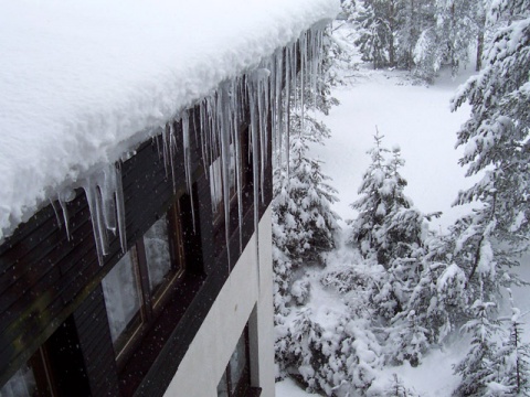Kliknij na zdjęcie, żeby zobaczyć w pełnych wymiarach