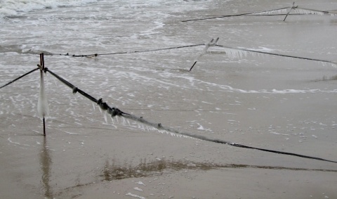 Kliknij na zdjęcie, żeby zobaczyć w pełnych wymiarach