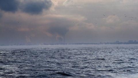 Kliknij na zdjęcie, żeby zobaczyć w pełnych wymiarach