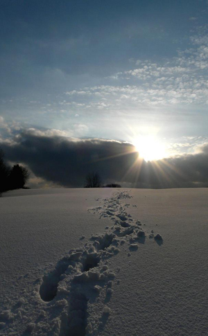 Kliknij na zdjęcie, żeby zobaczyć w pełnych wymiarach