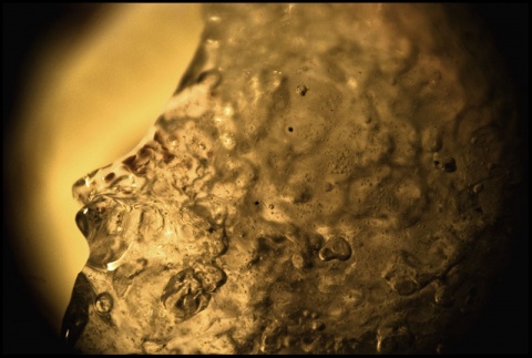 Kliknij na zdjęcie, żeby zobaczyć w pełnych wymiarach