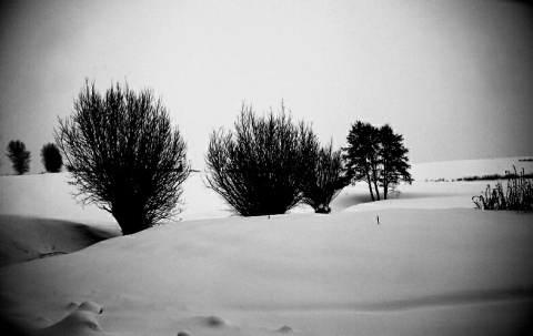 Kliknij na zdjęcie, żeby zobaczyć w pełnych wymiarach