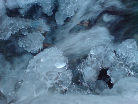 Kliknij na zdjęcie, żeby zobaczyć w pełnych wymiarach