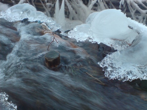 Kliknij na zdjęcie, żeby zobaczyć w pełnych wymiarach