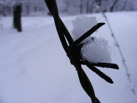 Kliknij na zdjęcie, żeby zobaczyć w pełnych wymiarach