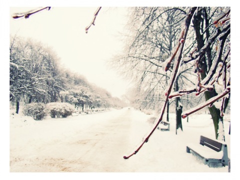 Kliknij na zdjęcie, żeby zobaczyć w pełnych wymiarach