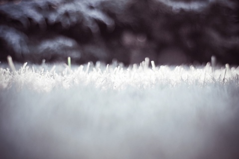 Kliknij na zdjęcie, żeby zobaczyć w pełnych wymiarach