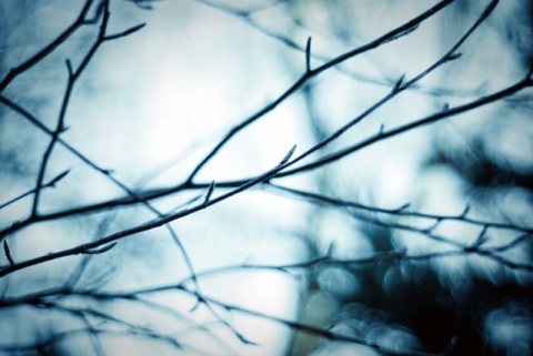 Kliknij na zdjęcie, żeby zobaczyć w pełnych wymiarach