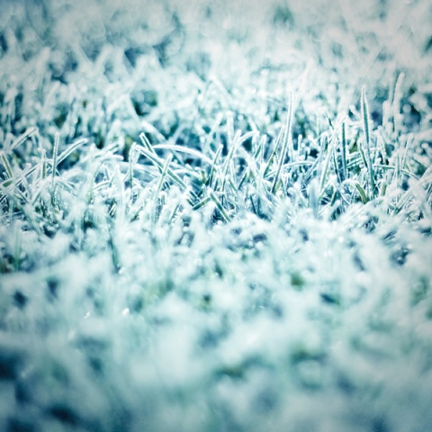 Kliknij na zdjęcie, żeby zobaczyć w pełnych wymiarach